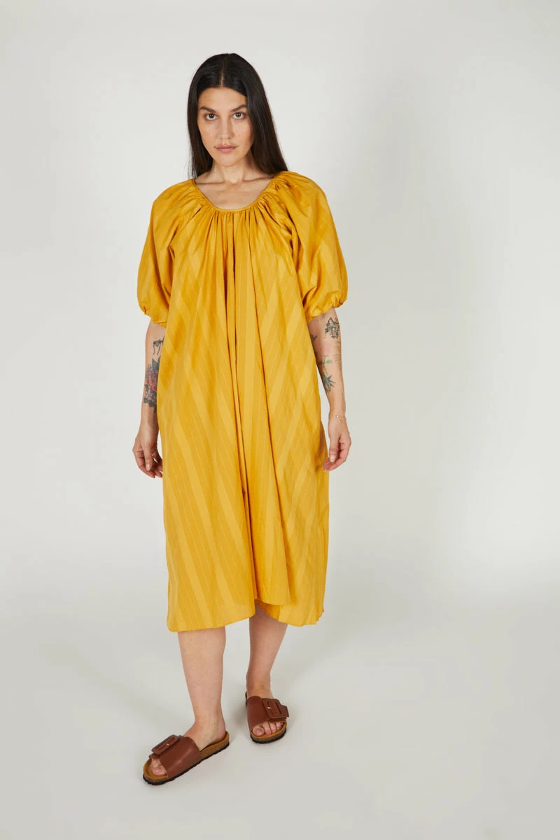 Intentionally Blank PERSIMMON DRESS Mustard NEW ARRIVALS 7 Intentionally Blank PERSIMMON DRESS Mustard NEW ARRIVALS