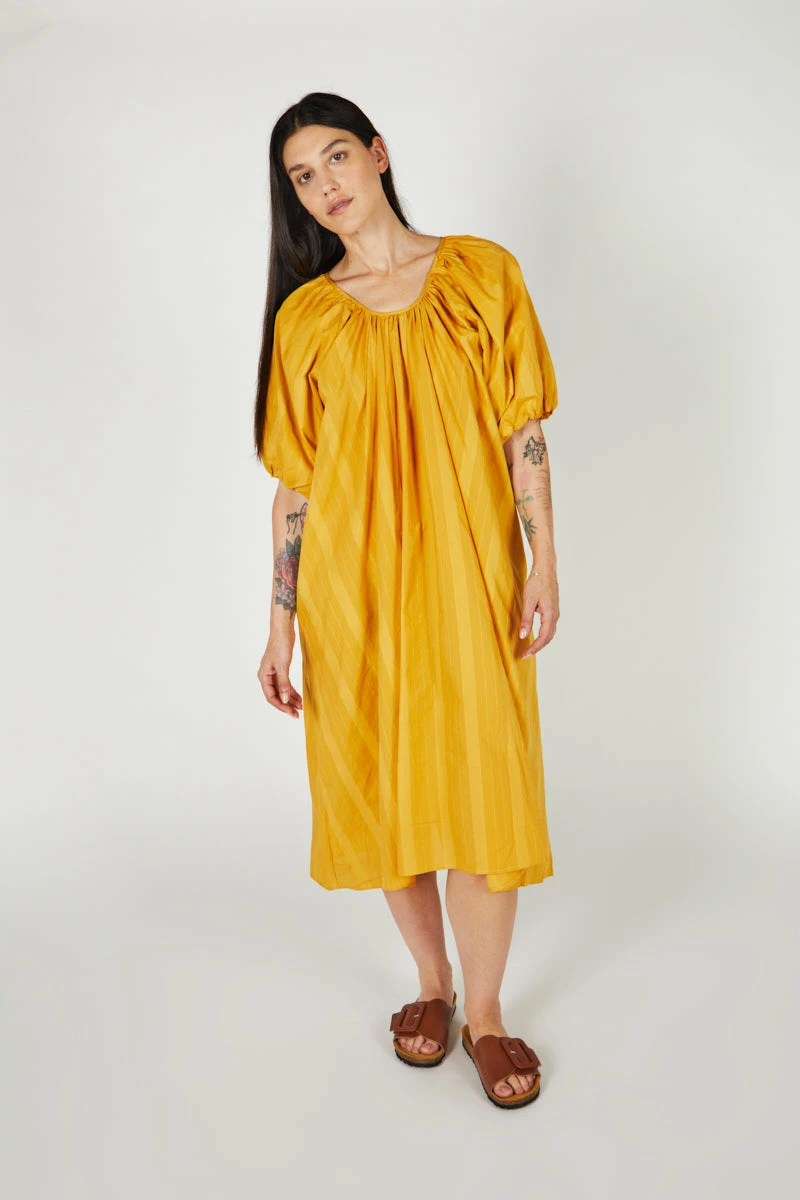 Intentionally Blank PERSIMMON DRESS Mustard NEW ARRIVALS 3 Intentionally Blank PERSIMMON DRESS Mustard NEW ARRIVALS
