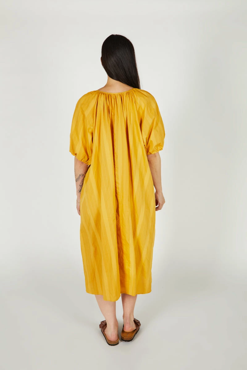 Intentionally Blank PERSIMMON DRESS Mustard NEW ARRIVALS 6 Intentionally Blank PERSIMMON DRESS Mustard NEW ARRIVALS