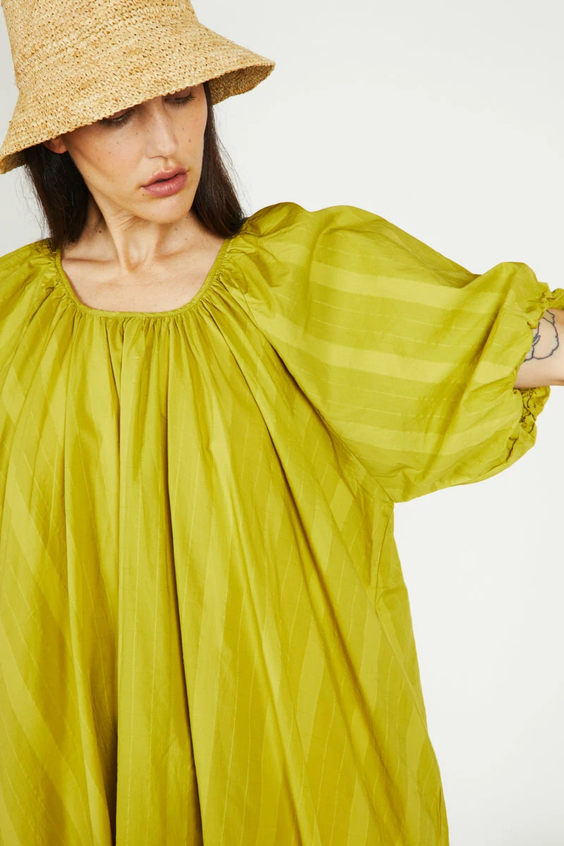 Intentionally Blank PERSIMMON DRESS Apple NEW ARRIVALS 4 Intentionally Blank PERSIMMON DRESS Apple NEW ARRIVALS