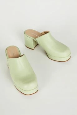 Intentionally Blank FACTS CLOG Green Tea