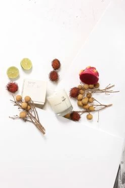 Maison Louis Marie LIFELIFE ANTIDRIS LIME Candle