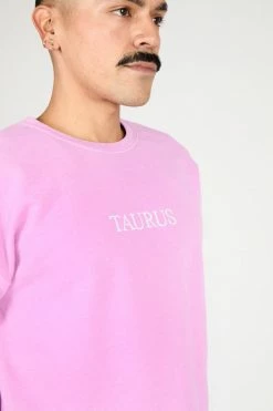 Intentionally Blank TAURUS ZODIAC PULLOVER GARMENTS