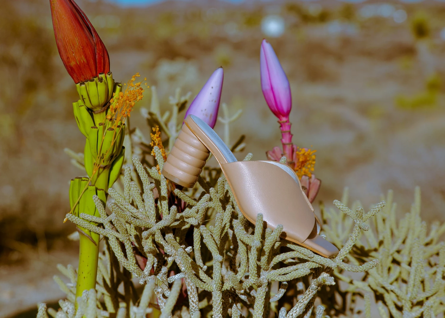 Intentionally Blank Outlet Store 26 Intentionally Blank Outlet Store -Intentionally Blank Outlet Store Intentionally Blank2